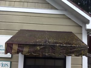 AWNING CLEANING ISSUES post thumbnail